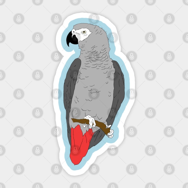 African Grey Parrot on Perch Sticker by Einstein Parrot